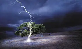 صاعقه زدگی یک چوپان در کوه دشتک دمچنار/۲۰راس دام تلف شد