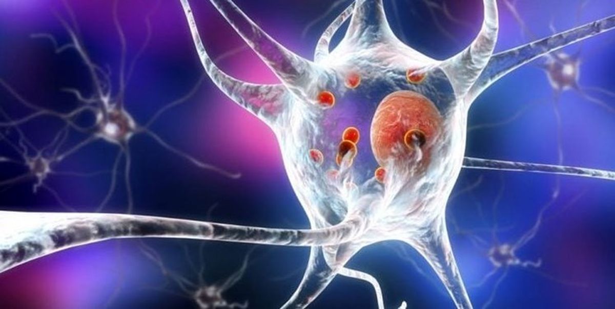 تفاوت شدت بروز بیماریها در ساعات مختلف شبانهروز