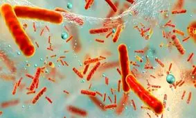 «استرس» باکتری‌های روده را دشمن بدن می کند