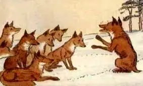 داستان روباه دم بریده