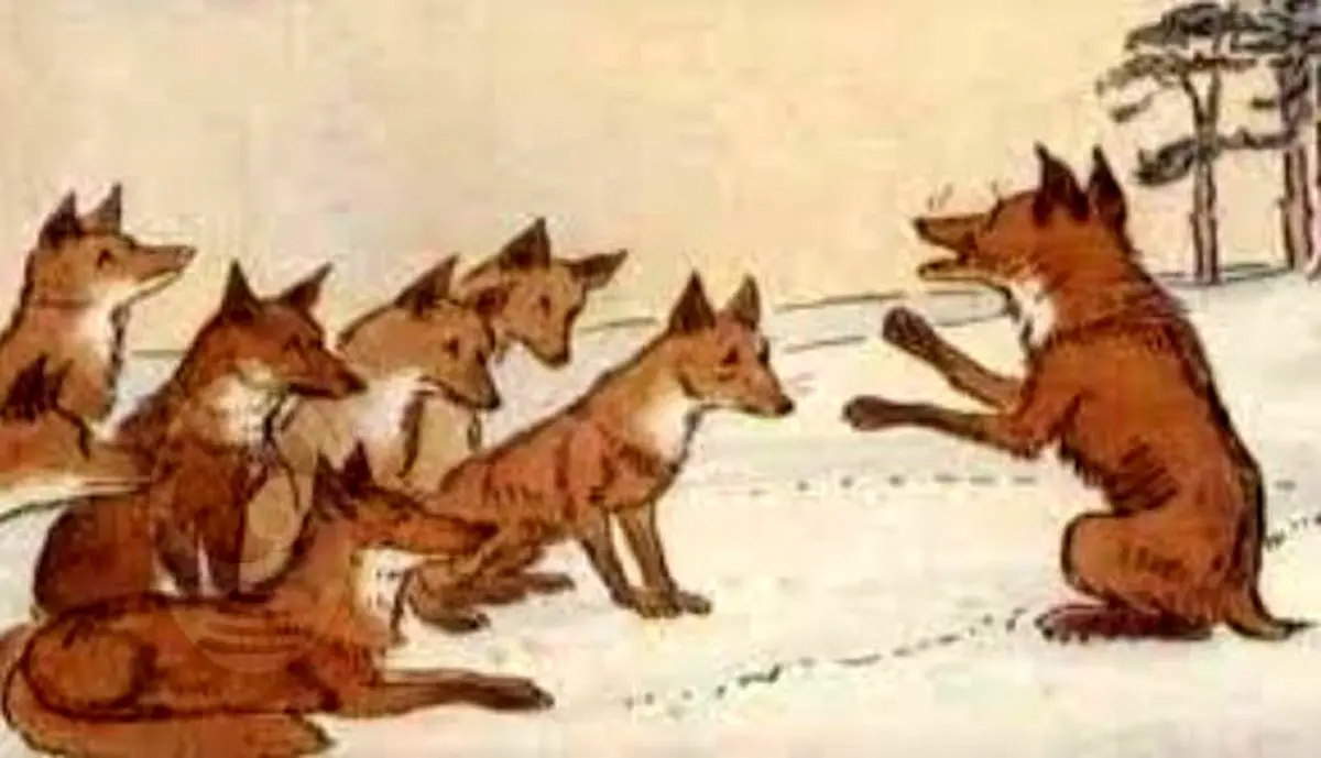 داستان روباه دم بریده