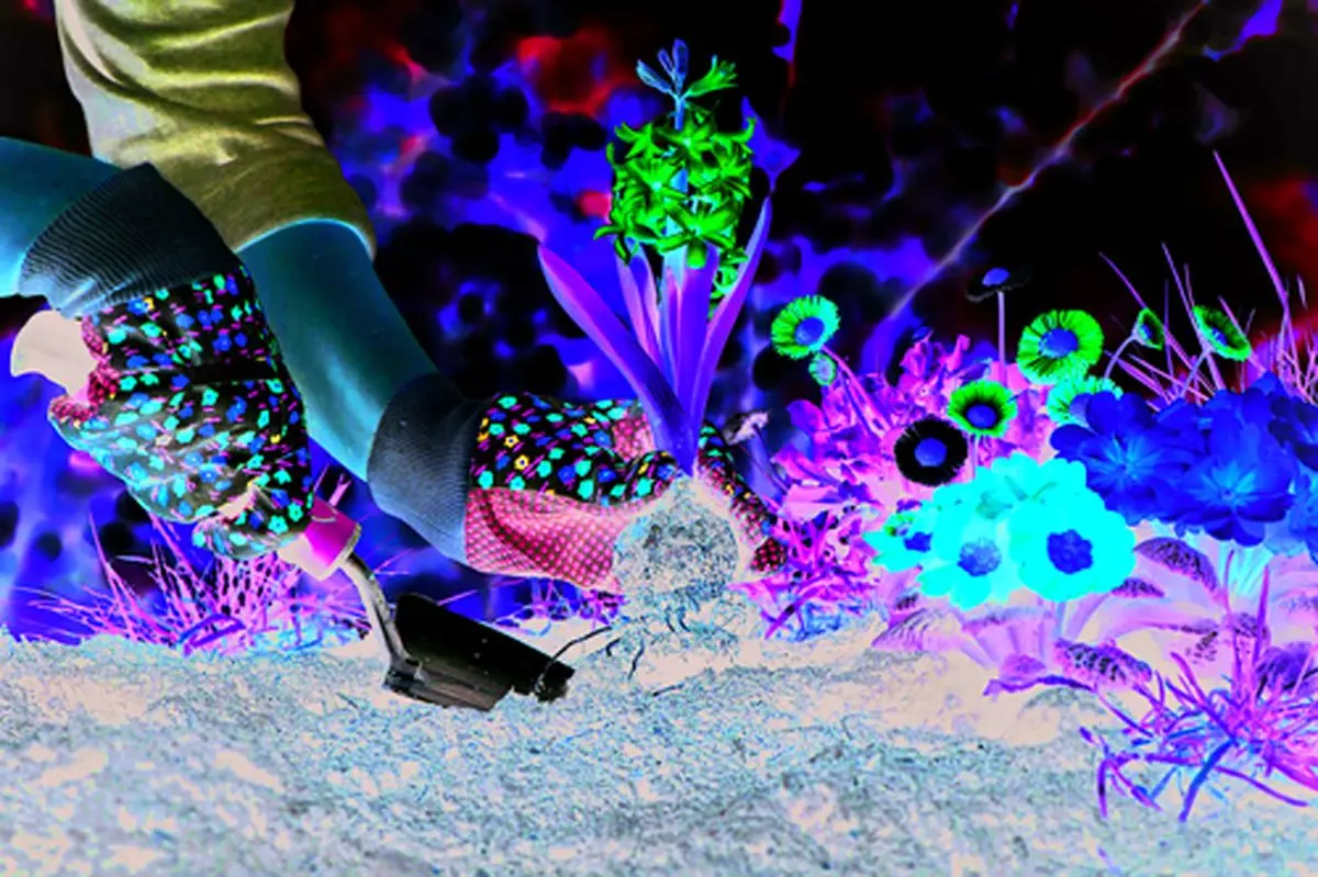 چه گیاهی را در بهار بکاریم؟