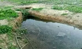 بازگشت حیات به قنات‌ها پس از ۱۸ سال خشکسالی + فیلم