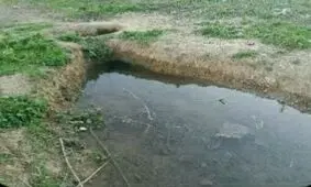 بازگشت حیات به قنات‌ها پس از ۱۸ سال خشکسالی + فیلم