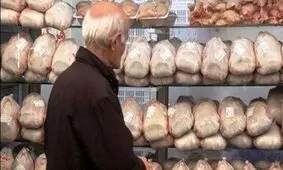 تولید بیش از نیاز مرغ و تخم‌مرغ در کشور/ بازارهای صادراتی باید فعال شود