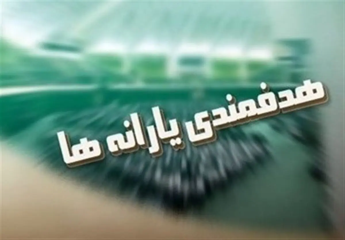 مصوبه مجلس با هماهنگی سازمان برنامه دور زده شد؟