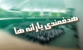 مصوبه مجلس با هماهنگی سازمان برنامه دور زده شد؟