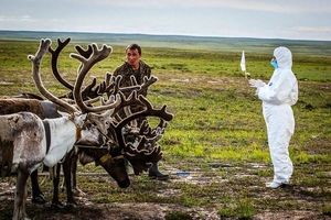 میلیون‌ها انسان و حیوان در معرض خطر ابتلا به سیاه‌زخم هستند!