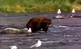 هشدار پوتین به اوکراین در خصوص تیراندازی به دو نظامی روسی111