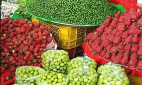 قیمت انواع میوه‌های نوبرانه در غرفه تره بار