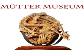 چندش‌آورترین موزه جهان را ببینید + تصاویر