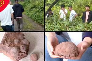 کشف اتفاقی تخم‌ دایناسور‌ توسط چند دانشجو! +فیلم