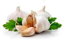 چگونه بوی بد سیر را از بین ببریم؟!