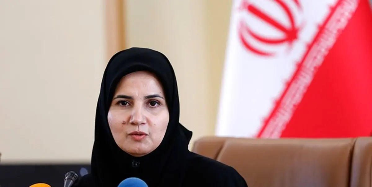 جنیدی: وجود نهاد نظارتی برای اجرای قوانین مبارزه با پولشویی در کشور ضرورت دارد