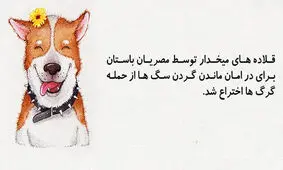 ۲۰ دانستنی خنده دار که واقعا حقیقت دارند