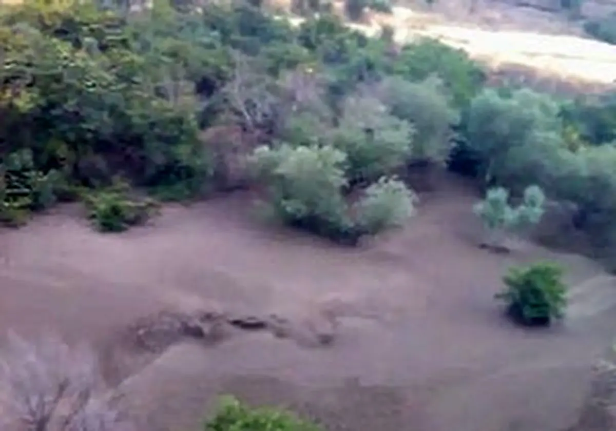 جاری شدن سیل و خسارت‌های به جا مانده در «نهالدان» + فیلم