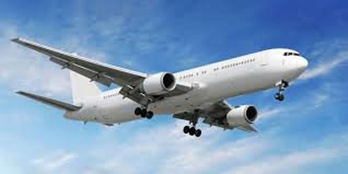 حمل ایستاده مسافران در خطوط بین المللی هواپیمایی پاکستان!