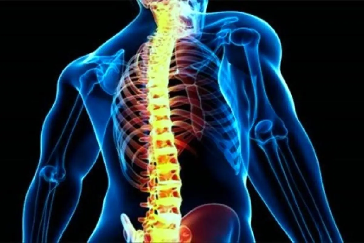 توانمندی حرکتی بیماران آسیب نخاعی با فناوری بومی افزایش می‌یابد