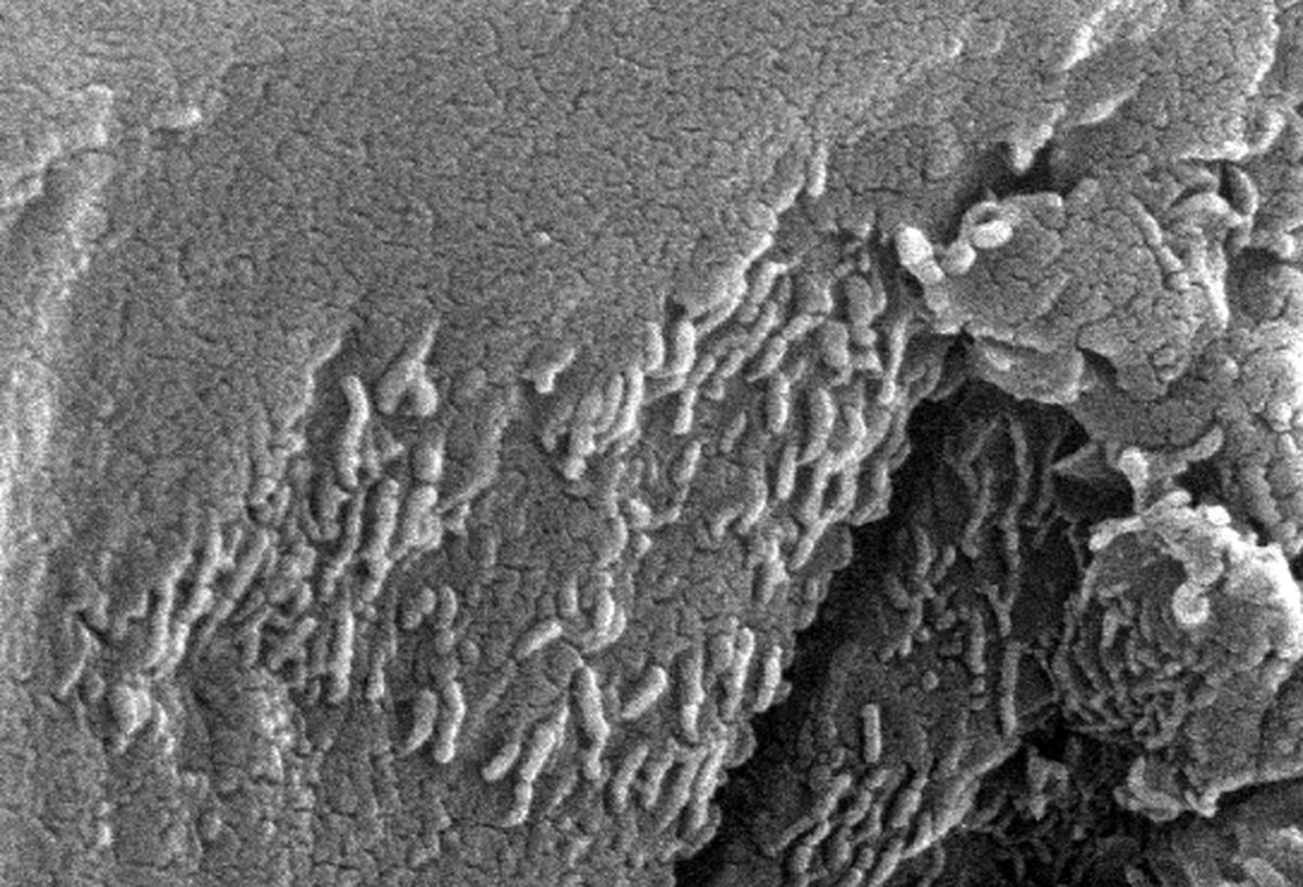 کشف حیات در مریخ با جست‌وجو در اعماق آتش‌فشان‌های زمینی