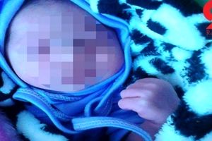زایشگاه مخفی نوازادان در تهران / زنان ثروتمند بدون بارداری مادر می شدند!+عکس