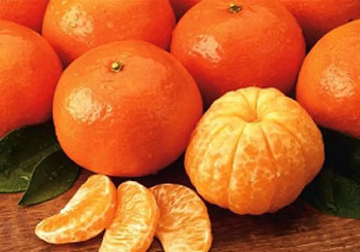 واردات پرتقال از مصر و ترکیه برای شب عید
