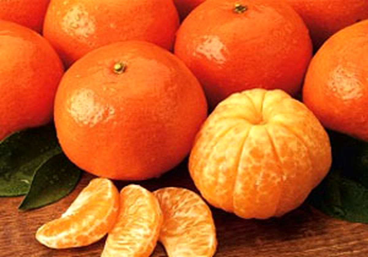 واردات پرتقال از مصر و ترکیه برای شب عید