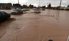 سیل جان یک سربیشه ای را گرفت