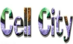 «شهر سلول» در دانشگاه خوارزمی راه‌اندازی می‌شود