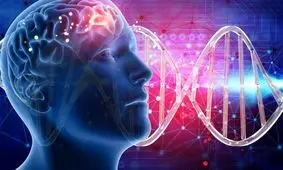 آیا ژن زیبایی وجود دارد و می‌توان آن را تغییر داد؟