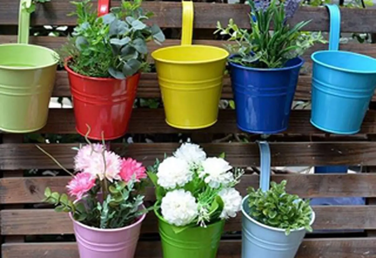 کدام گیاهان مناسب بالکن هستند؟