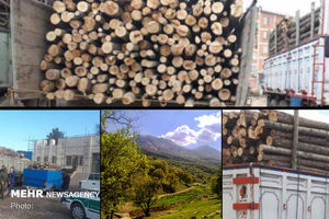۲۵ تن قاچاق چوب آلات جنگلی در نکا کشف شد