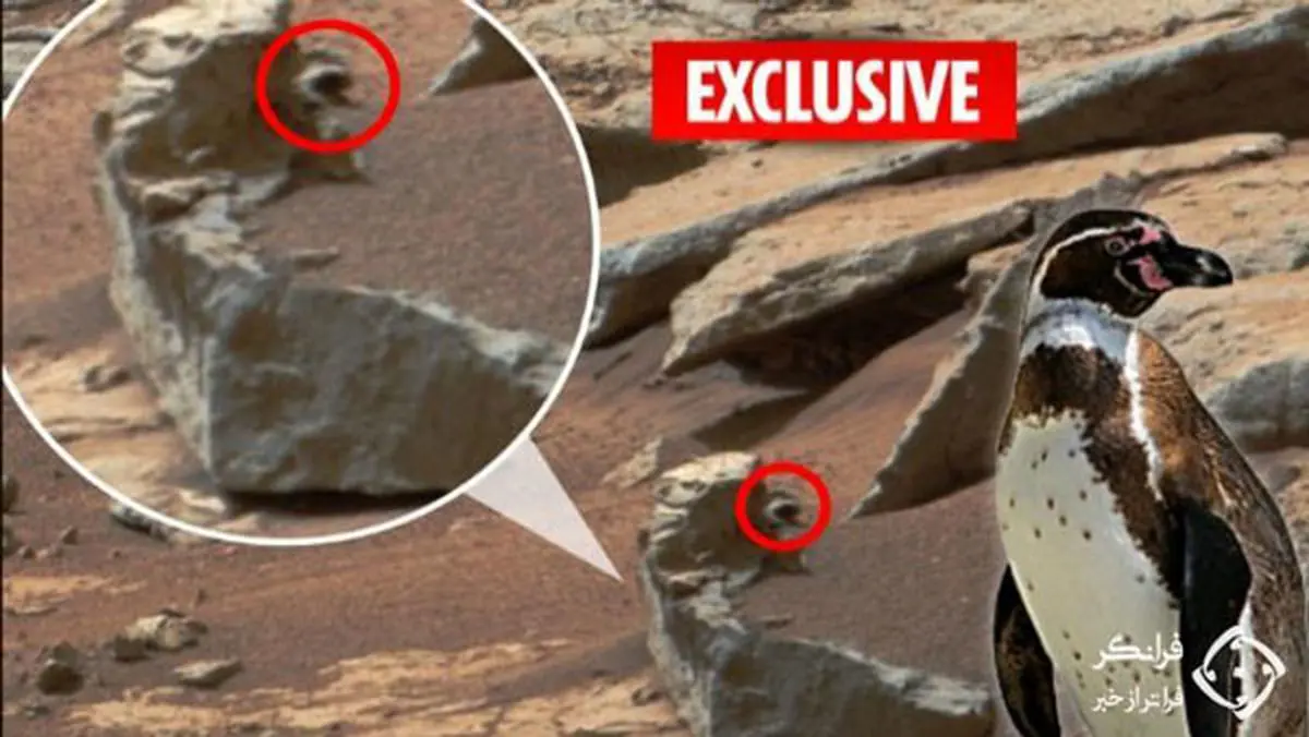 مشاهده یک پنگوئن در مریخ + عکس