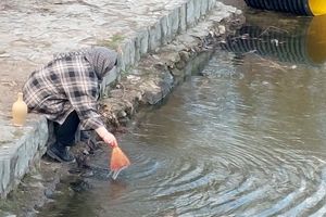 رسم کهن «نواوستی» استقبال از تازه شدن طبیعت؛ آب‌ها جارو و زبان دشمنان قیچی شد/عکس