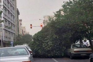 هشدار هواشناسی درباره طوفان در ۹ استان