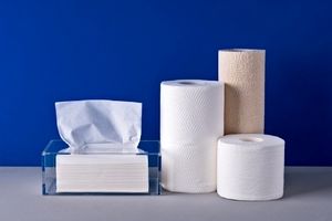 قیمت انواع دستمال کاغذی در بازار چند است؟
