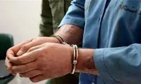 افشای راز سقوط مرگبار خانم دکتر از پل عابر