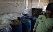 ۱۸۰۰ لیتر مشروبات الکلی دست‌ساز در امیدیه کشف شد
