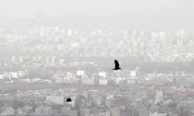 کیفیت هوا در سر پل‌ ذهاب و قصرشیرین اضطراری شد