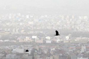 کیفیت هوا در سر پل‌ ذهاب و قصرشیرین اضطراری شد