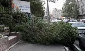 فوری/ 17 نفر در تهران به علت اتفاقات امشب مصدوم شدند