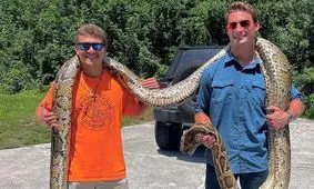 بزرگترین مار پیتون جهان شکار و کشته شد/ ویدئو
