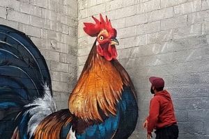  هنر خیابانی؛ 10 شاهکار هنری خلاقانه از سراسر دنیا