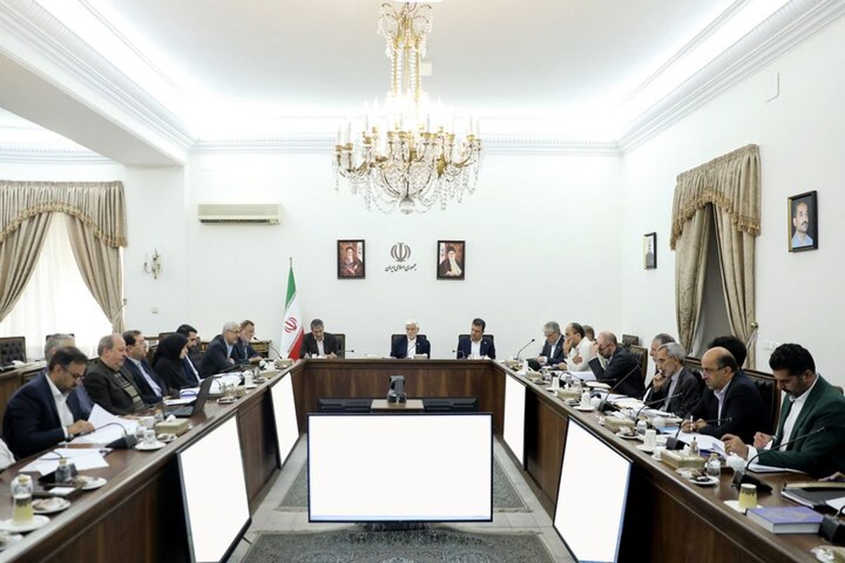 عارف: بودجه دولتی کفاف حل آسیبهای اجتماعی را نمیدهد