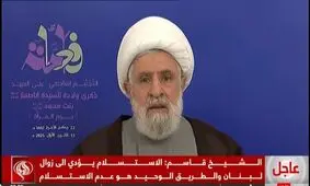 مقاومت تمام آنچه را که از آن خواسته شده، در اجرای توافق آتش‌بس و کمک به دولت لبنان، انجام داده است/  تسلیم‌شدن به نابودی لبنان منجر می‌شود