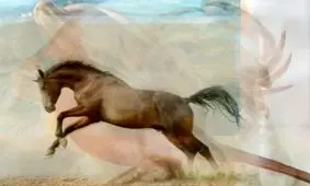 در این عکس چه حیوانی می بینید؟ بگویید تا شگفت زده شوید