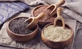 ۹ دانه خوراکی که باید حتما در رژیم غذایی خود بگنجانید