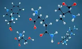 آمینواسیدهایی که کلید سرکوب کردن اشتها هستند