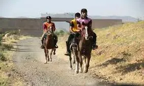 ثبت رکورد بی‌سابقه برگزاری مسابقات سوارکاری استقامت در خوزستان