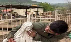 اهانت دوباره نظامیان صهیونیست به مقدسات مسیحیان
