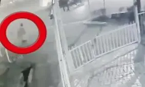 محمدیان: محل حادثه فاقد چراغ بوده و شناسایی مجرم را سخت میکند